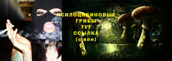 экстази Ладушкин