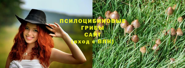 экстази Ладушкин