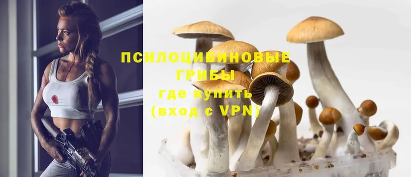 кракен онион  Гаврилов Посад  Галлюциногенные грибы Psilocybine cubensis  купить наркотик 