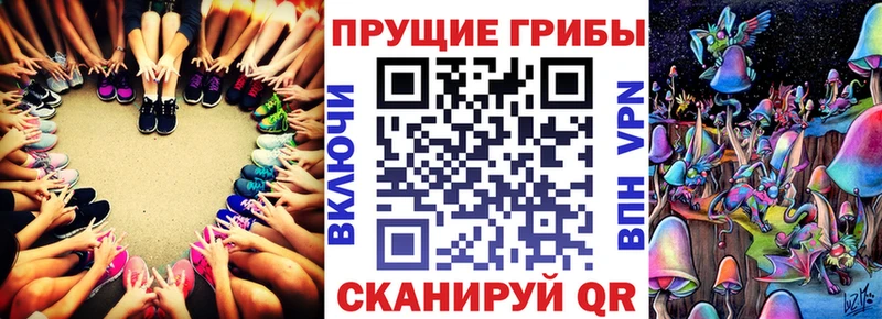 Псилоцибиновые грибы мухоморы Гаврилов Посад